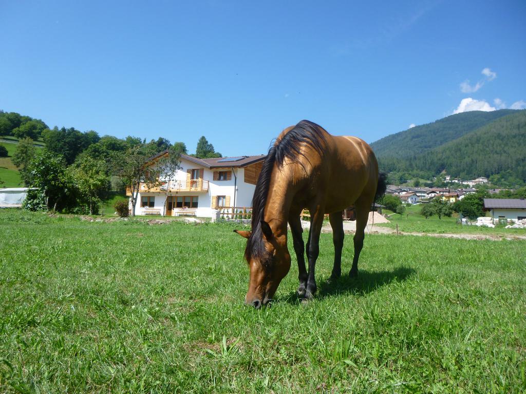 Agriturismo Fattoria Dalcastagne Torcegno Екстериор снимка
