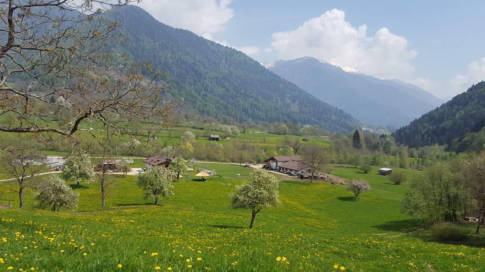 Agriturismo Fattoria Dalcastagne Torcegno Екстериор снимка